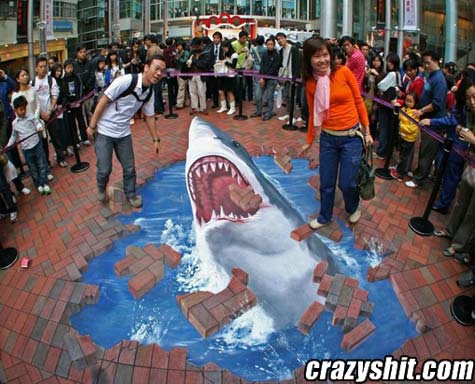 Shark Street Painting