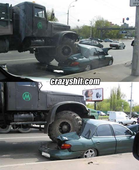 Monster Trucks Rule!!!