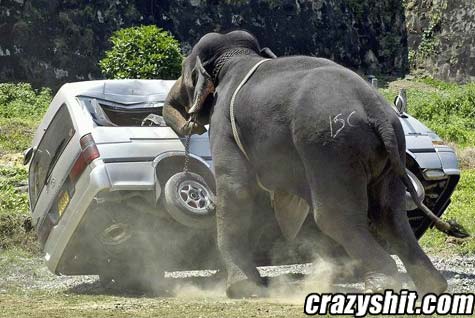 Dumbo Attacks