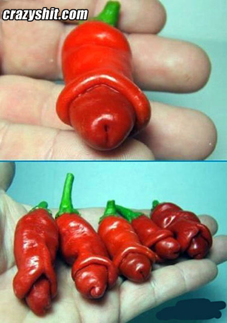 Red rocket pepper