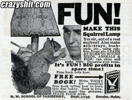 Get your squirrel lamp kit now!