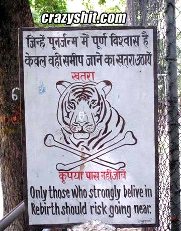 The tiger will eat your ass dead
