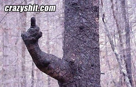 Tree fingers