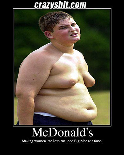 The truth about mcdonalds