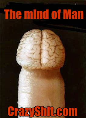 What does a mans brain looks like?