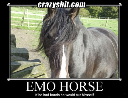 emo horse has a message