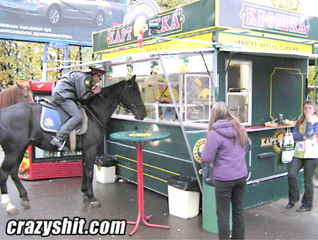 Russian fast food horse