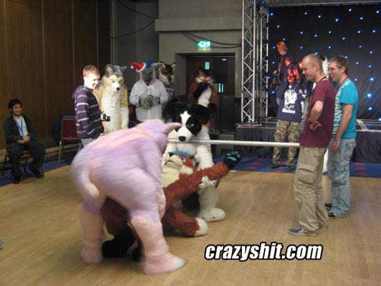 CrazyShit.com | Getting furry with it - Crazy Shit!