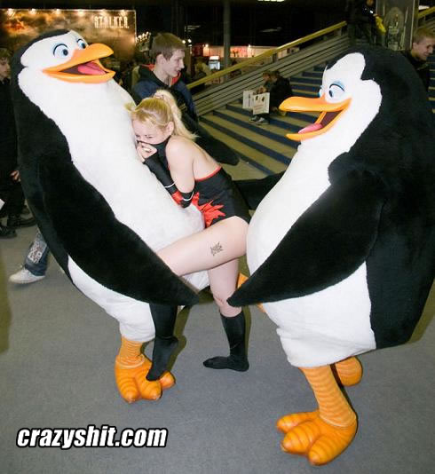 Huggable, Lovable Penguins!