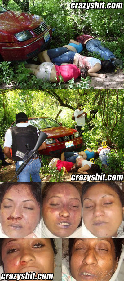Picnic In The Woods Turned Into Crime Scene