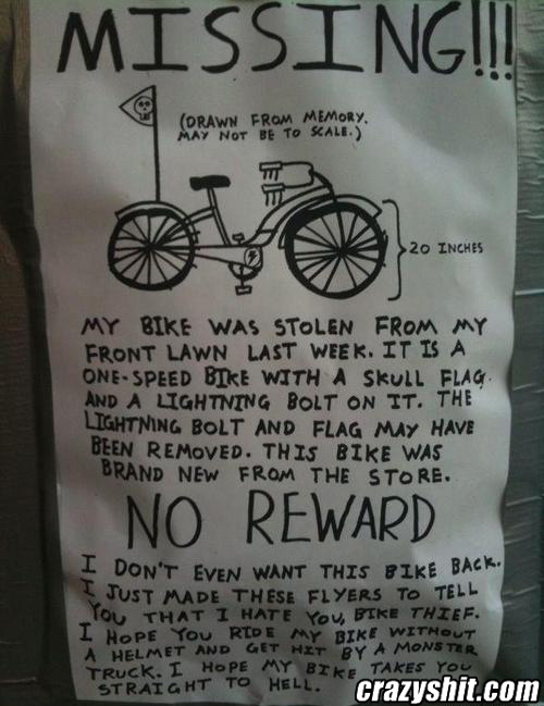 Elusive Bike Thief