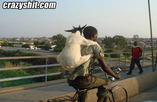 Just Hitchin A Ride
