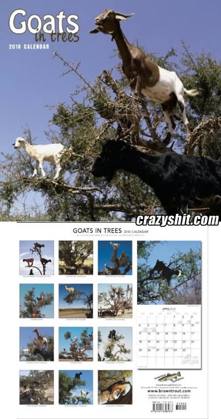 Get Your Copy of Goats in Trees