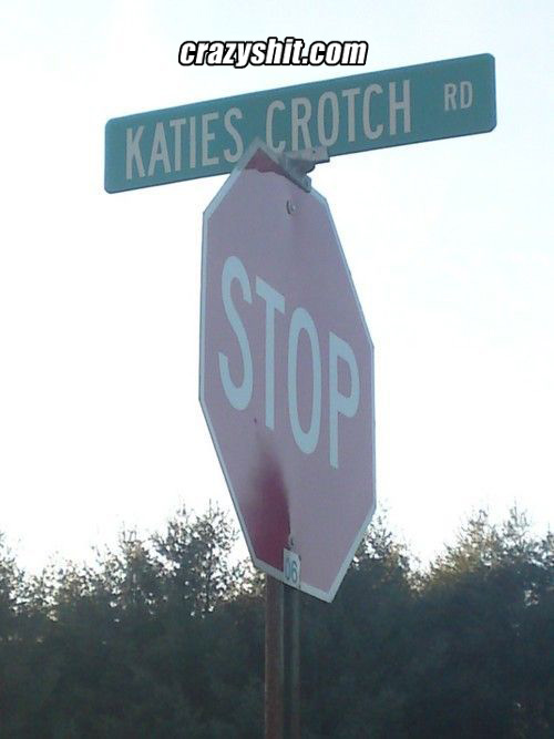 Four Way Stop - Katies Crotch