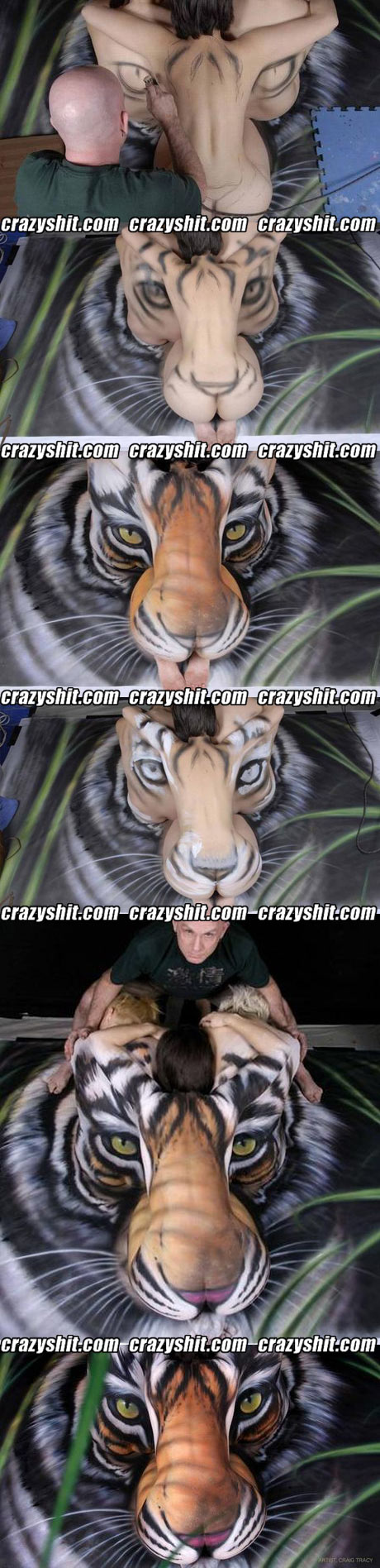 A true artist, ass and tigers