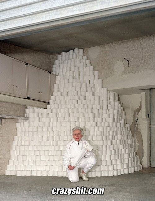 All Hail The Toilet Paper Queen