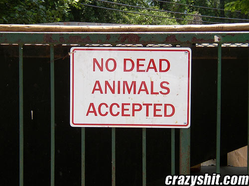 No Dead Animals Accepted! under no circumstances!