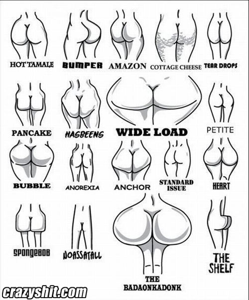 Crazyshit's Guide To asses