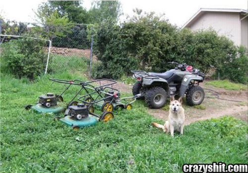 Mow Your Lawn Redneck Style