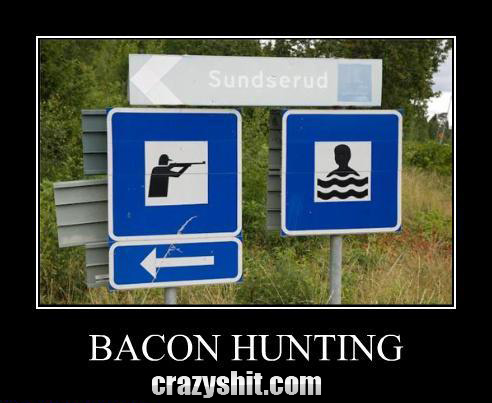 Great Bacon Hunt