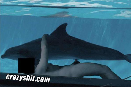 CrazyShit.com | Dolphin Lovers Only - Crazy Shit