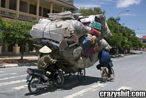 The Asian Moving company