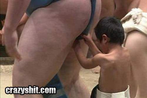 Sumo Father And Son