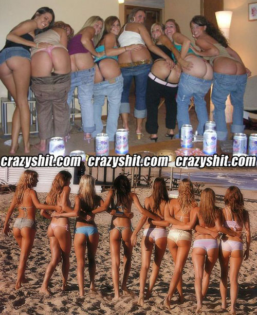 So Many Asses To Choose From