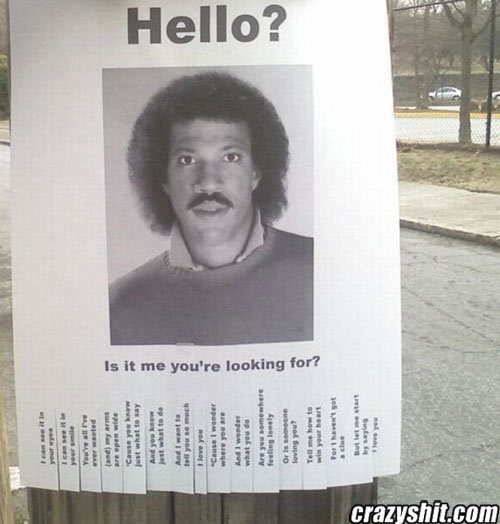 Hello Is it Me You Are Looking For?