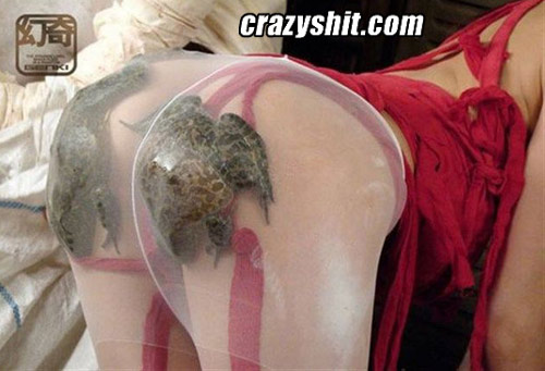 500px x 341px - CrazyShit.com | Fuck That Asian Froggy Style - Crazy Shit