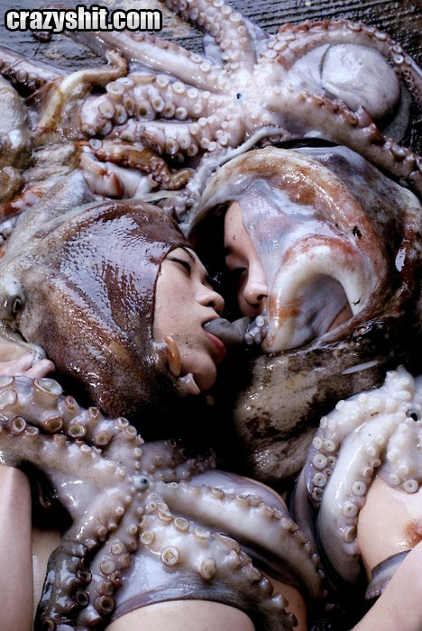 Crazy Japanese Porn Octopus - CrazyShit.com | Give Her A Delicious Octopus Kiss - Crazy Shit