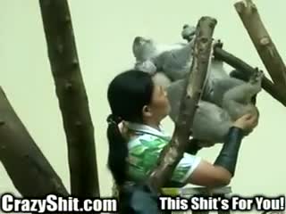 CrazyShit.com | A Little Assistance Tapping That Koala Ass - Crazy Shit