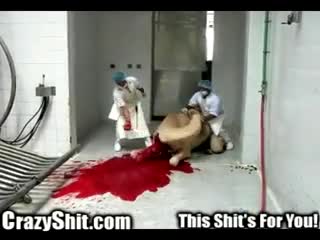 CrazyShit.com | Time To Die, Joe Camel - Crazy Shit