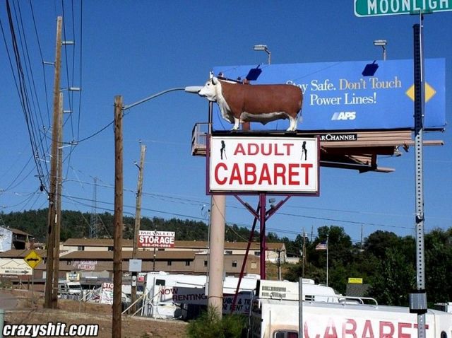 Check Out This Strip Club