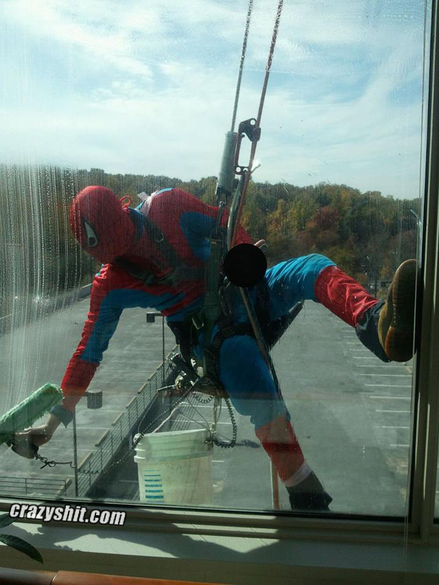 The Amazing Spider Window Washer