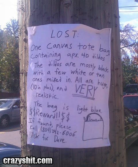 Help Dave Find His Missing Dildos