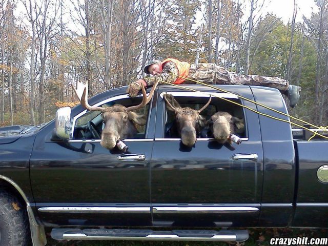 These Moose Hunters Got a Nice Trophy
