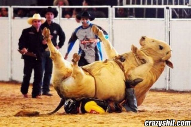 In Soviet Russia Bull Rides You