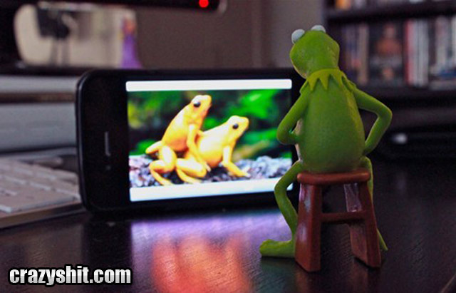 Kermit Loves His Porno