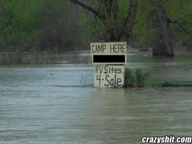 Camp Here It's Cheap
