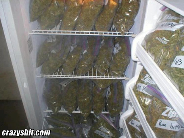 The Greatest Fridge In The World