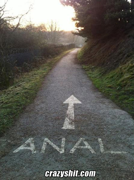 Which Way To Anal?
