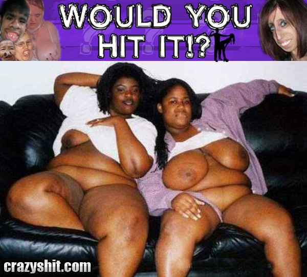 Would You Hit It? Double Chocolate Treat