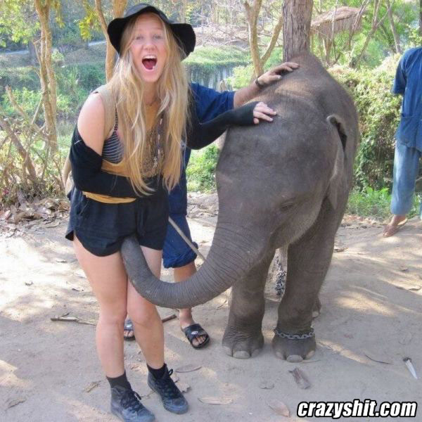 She Likes Em' Hung Like Elephants