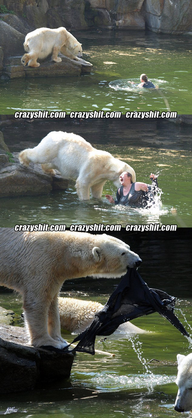Is That Your New Pet Polar Bear?