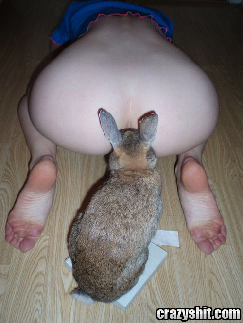 Step Aside Bunny And Let Me Sniff That Ass