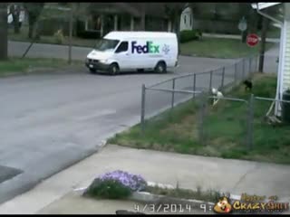 CrazyShit.com | Special Front Yard Delivery Service - Crazy Shit