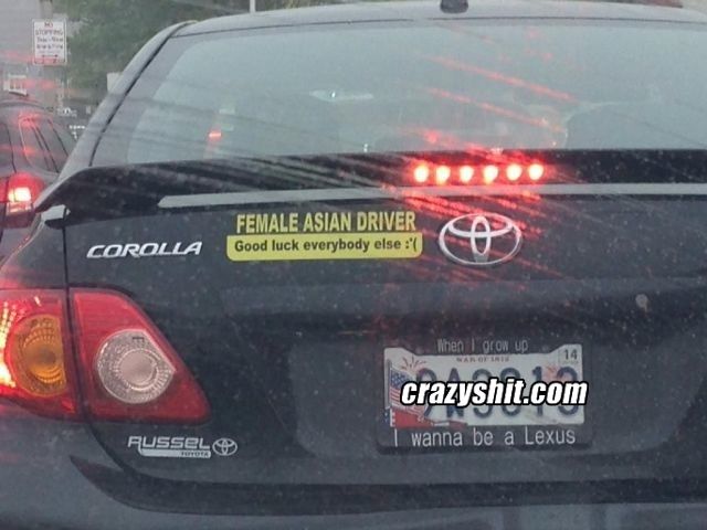 Maybe the Most Truthful Bumper Sticker Ever