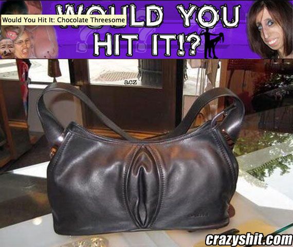 Would You Hit it: Leather Handbag