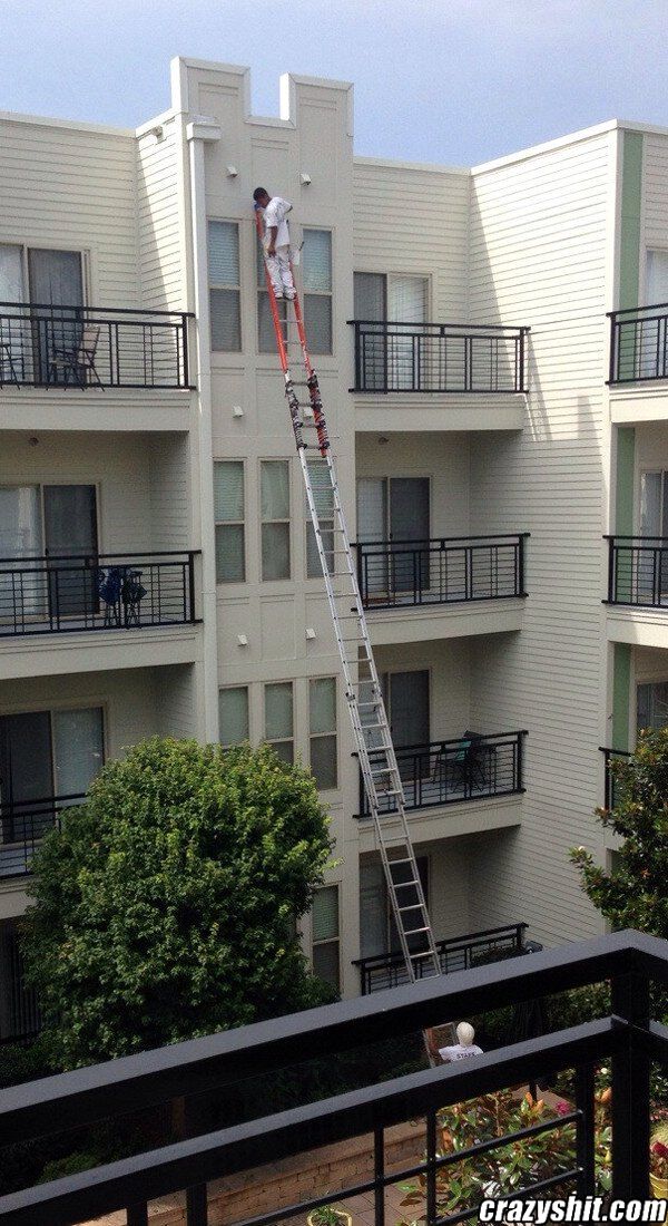 OSHA Approved Ladder